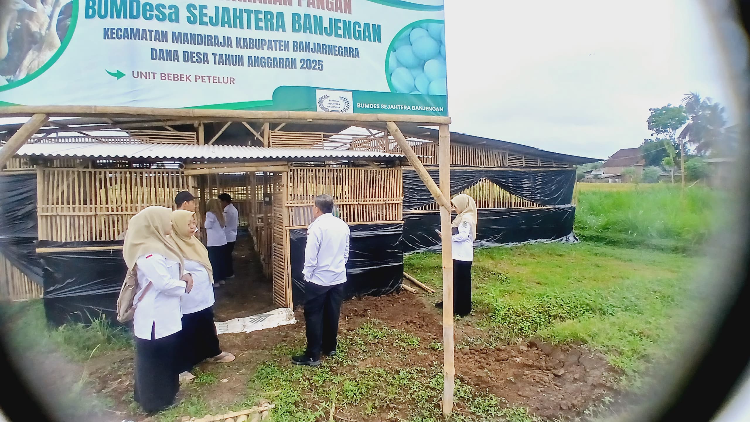 WhatsApp Image 2025-10-15 at 09-36-55